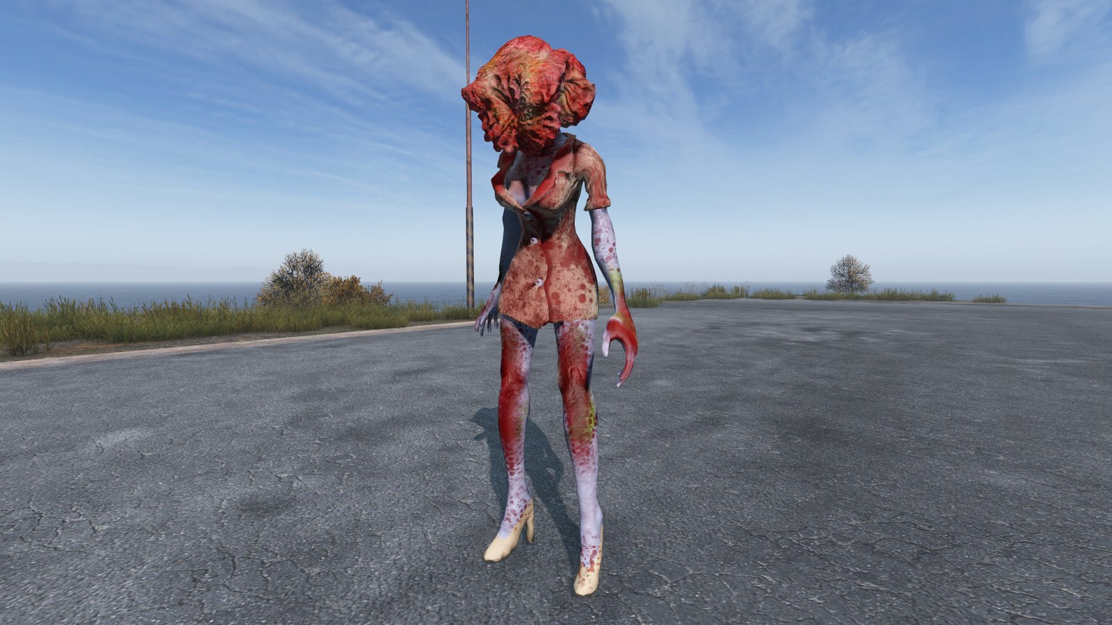 Novo Zumbi