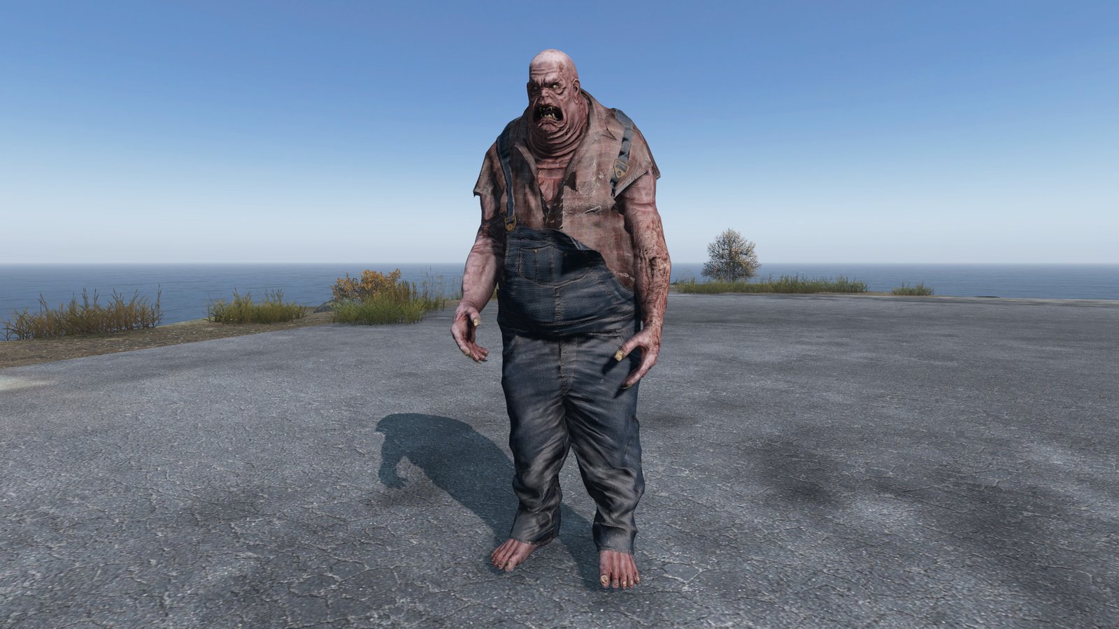 Novo Zumbi